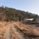 장산 대성산성 이미지