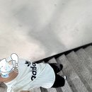 보람2차(아) | 2026 서울대병원 신규간호사 채용(졸예) 최종합격 후기