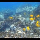 베이(BAY)7 이미지