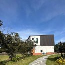 비자노아 이미지