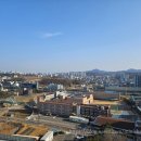 경화대동다숲공인중개사사무소 | 중개 후기) 당진 대동다숲 45평(126㎡) 월세 계약 ✨