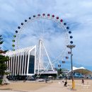 NR-7[동해대로]-하-365 | 1박2일 속초 성인4명 가족여행다녀온 기록