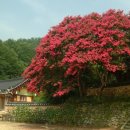 김면장군유적지 이미지