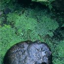 위드미장림골드점 | 신규 사케를 실은 컨테이너 도착