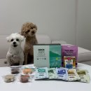 위드더앱 | 기호성좋은 강아지생식,화식 포옹 앱으로 간편주문 솔직후기