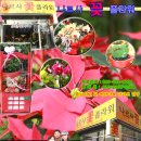 김플라워 - 군산시 의료원로 141 | 김플라워