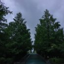 후동공원 이미지