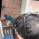 크린투데이 이미지