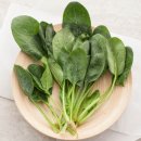 함소아한의원 이미지