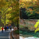 [경남/양산여행]원효대사의 전설이 깃든 천성산 내원사 이미지