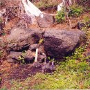 용수초교 이미지