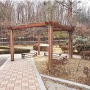 제일오투그란데 이미지