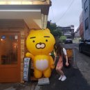 중한식당 이미지