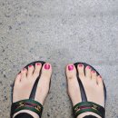 중앙동153 이미지