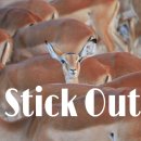 눈에띄다 이미지