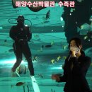 부산 영도 –해양수산 박물관의 수족관- 이미지