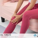 본앤본정형외과 네이버블로그