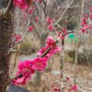 둘이농장 이미지