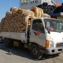 대일종합상사 이미지