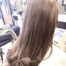 브라더헤어 이미지