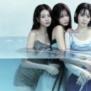 특별한 라이프 (A Special Life)