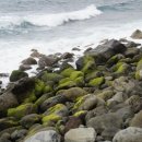 에브리(EVERY) 이미지