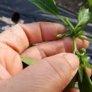 문식농장 이미지