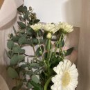 단계택배 | 오늘의 가든 꽃 수확 택배 식물키우기 끝 후기 (레벨 몇 단계 끝?)