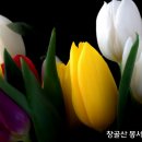 준비에 관한 예화 모음 이미지