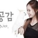 파리바게뜨대전은행점 이미지
