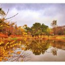 경산시사외국어학원 이미지