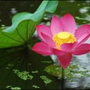 자연누리 이미지