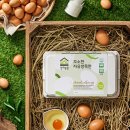 자유슈퍼 이미지