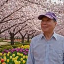 "홍하사의 잡다한 이야기"---(1543) "인생 이야기"---(359) (부자 노인의 공짜 취미) 이미지