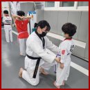 튼튼태권도체육관 이미지