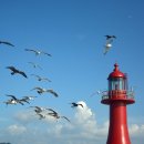 궁평항로 이미지