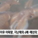 풍년 이미지