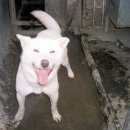 용미농장 이미지