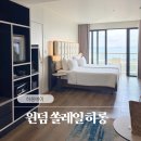 5성급 가성비 호텔 추천 윈덤 쏠레일 하롱 |주니어 트윈 스위트 투숙 후기| 위치와 뷰 모두 잡은 곳 🏢✨