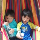 비금농장 이미지