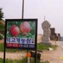 덕고개농장 이미지