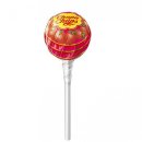 수호랑태권도장 이미지