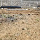 다시농장 이미지