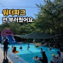 수영장 하나 보고 왔는데, 그게 정답이었습니다. 영월 월드니스 캠핑장 후기