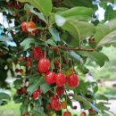 사자산농촌체험휴양마을 이미지