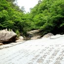 곡성-221 이미지