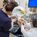 연세아주소아청소년과의원 이미지