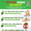 대해벌목