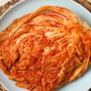 김치 이미지