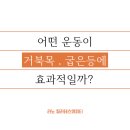 라노필라테스앤피티